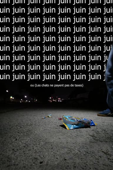 Juin ou (Les chats ne payent pas de taxes)