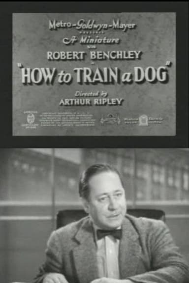 How to Train a Dog