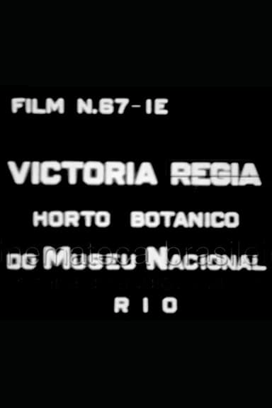 Victória Régia: Horto Botânico do Museu Nacional