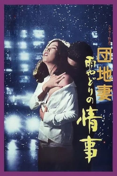 A Rainy Night Affair