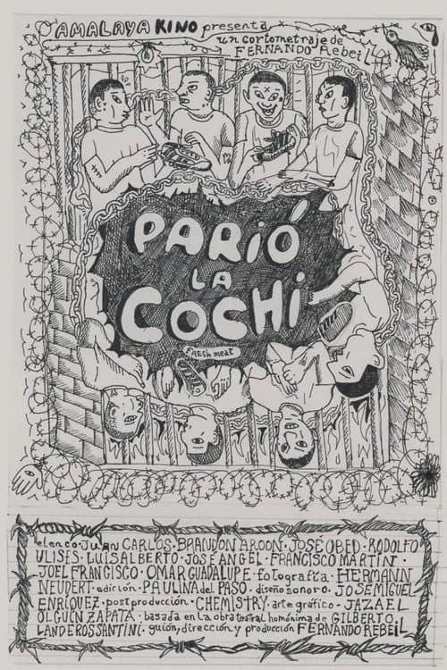 Parió La Cochi