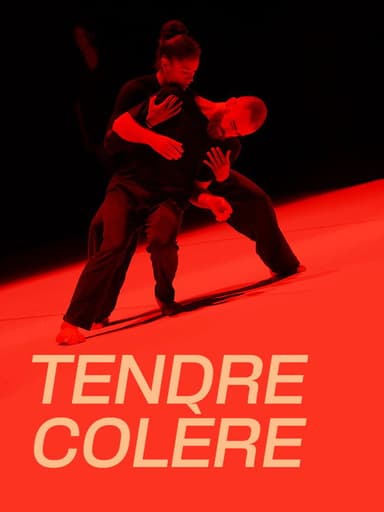 Suresnes cité danses, Tendre colère