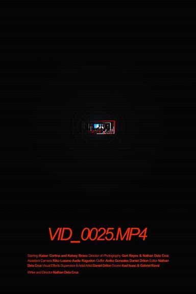 VID_0025.MP4