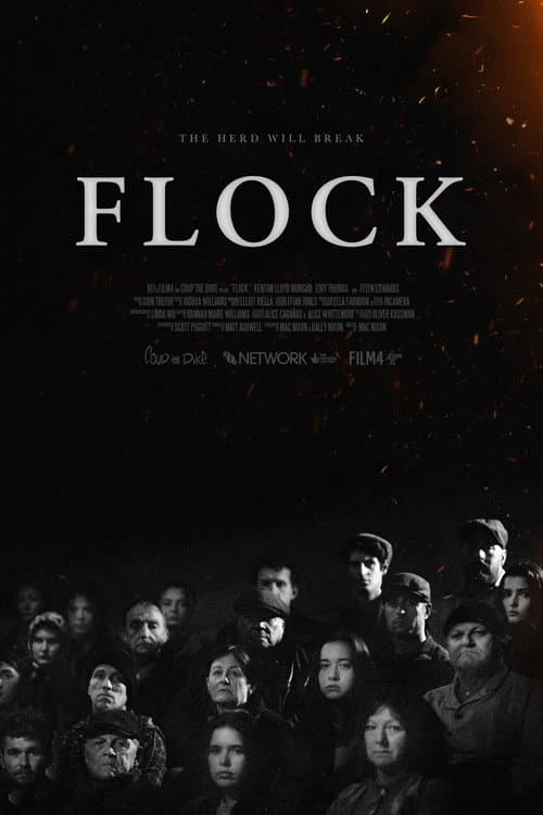 Flock