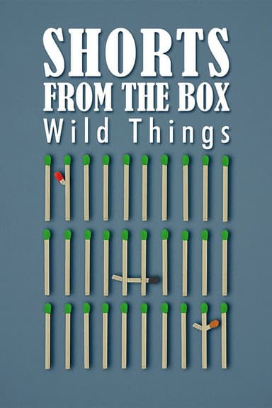 SHORTS FROM THE BOX / Wild Things
