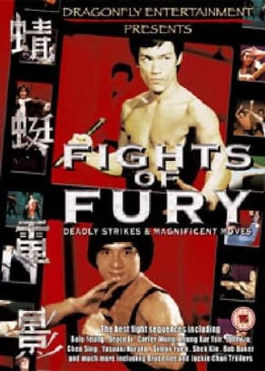Fights of Fury