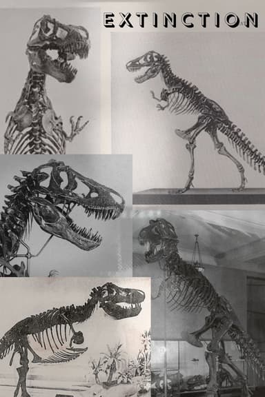 Extinction