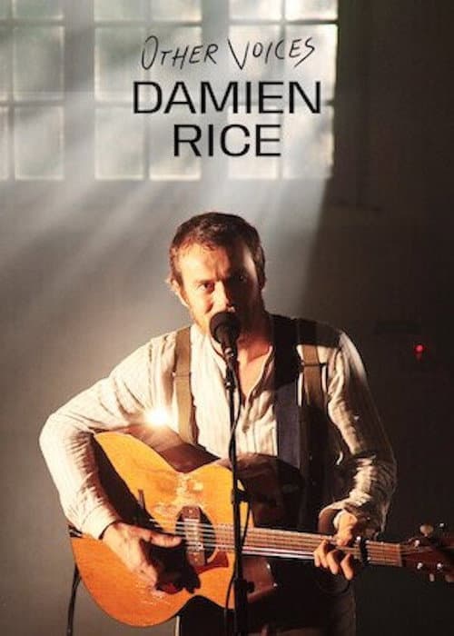 Other Voices: Damien Rice