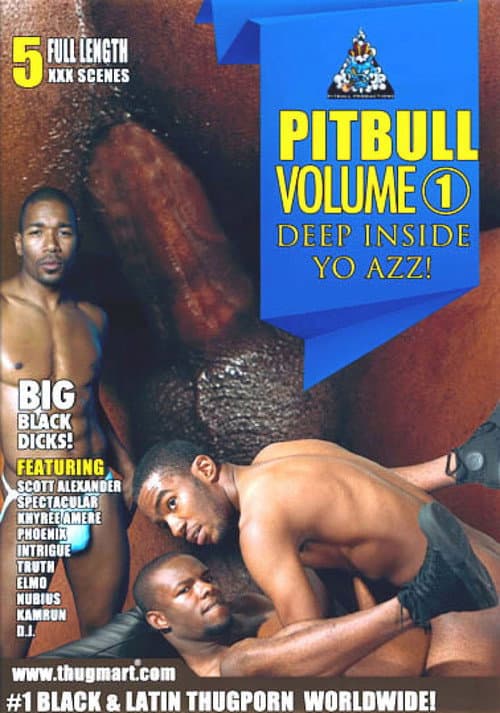 Pitbull 1: Deep Inside Yo Azz