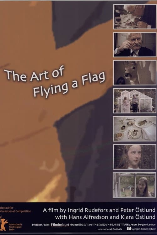 The Art of Flying a Flag