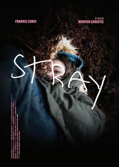 Stray
