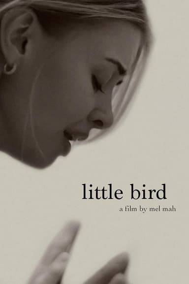 Little Bird
