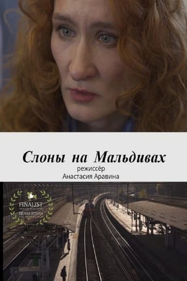 Слоны на Мальдивах