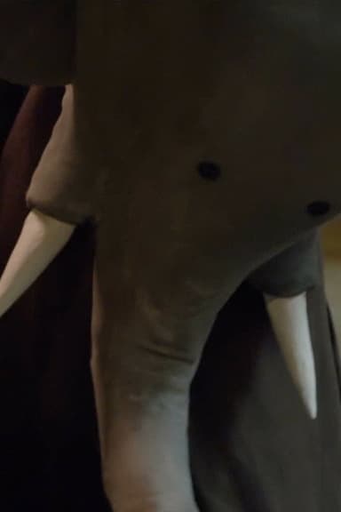 Un éléphant me regarde