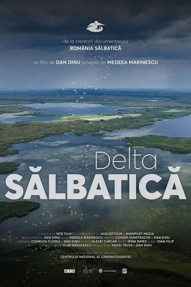 Wild Delta