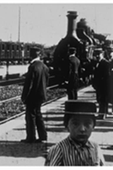 Arrival of a Train at the Station