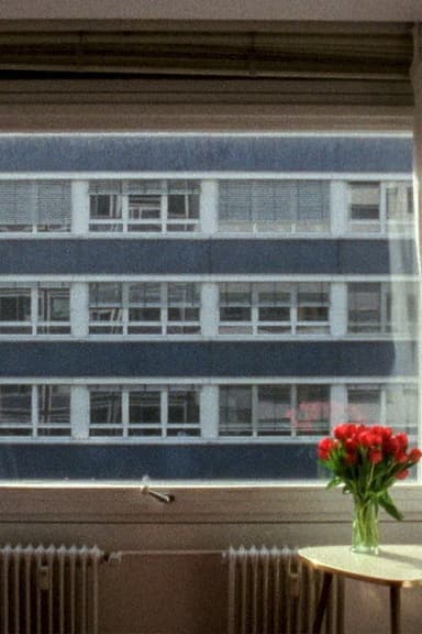 21.3 °C