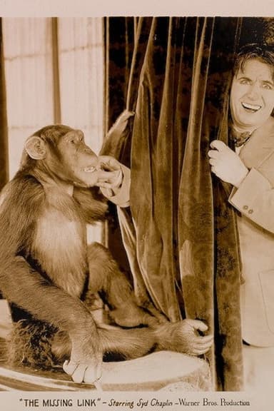 The Missing Link