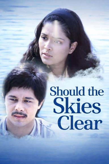 Should the Skies Clear