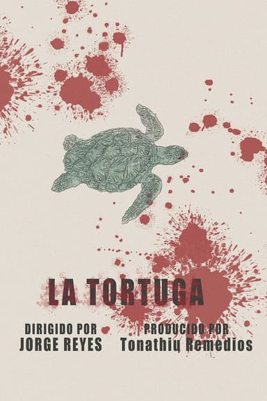The Turtle