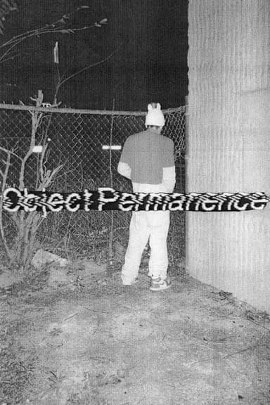 Object Permanence