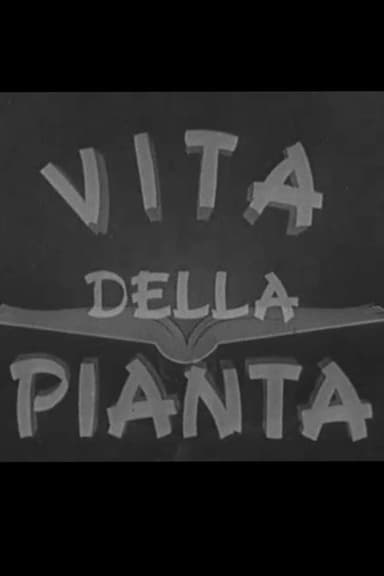 Vita della pianta