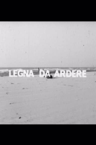Legna da ardere