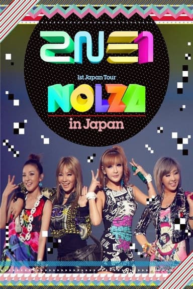 2NE1 1st Japan Tour "NOLZA in Japan"