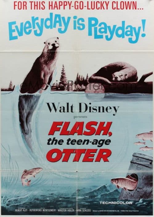 Flash, The Teenage Otter
