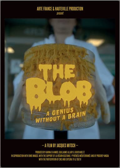The Blob: A Genius without a Brain