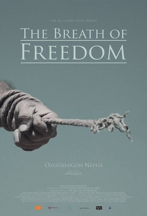The Breath Of Freedom