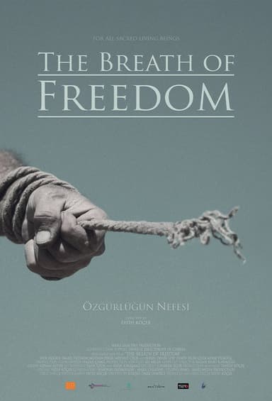 The Breath Of Freedom