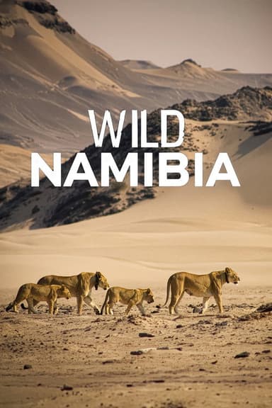 Wild Namibia