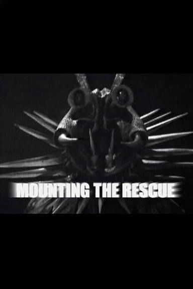 Mounting the Rescue
