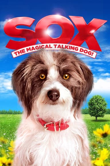 Sox: A Family's Best Friend
