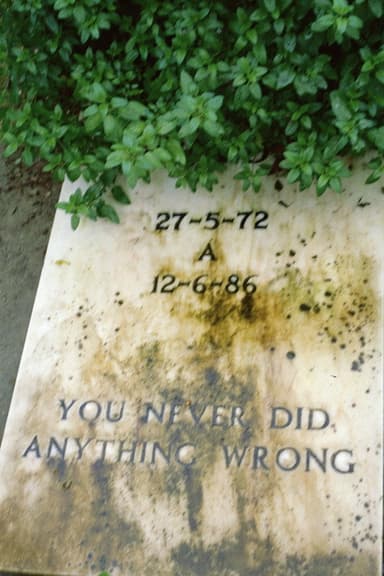 You never did anything wrong