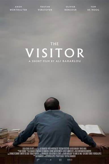 The Visitor