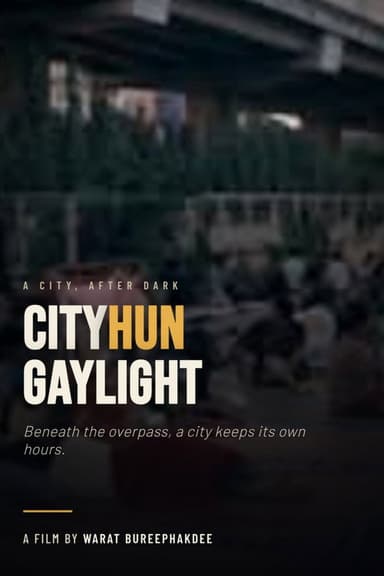 CityHun GayLight