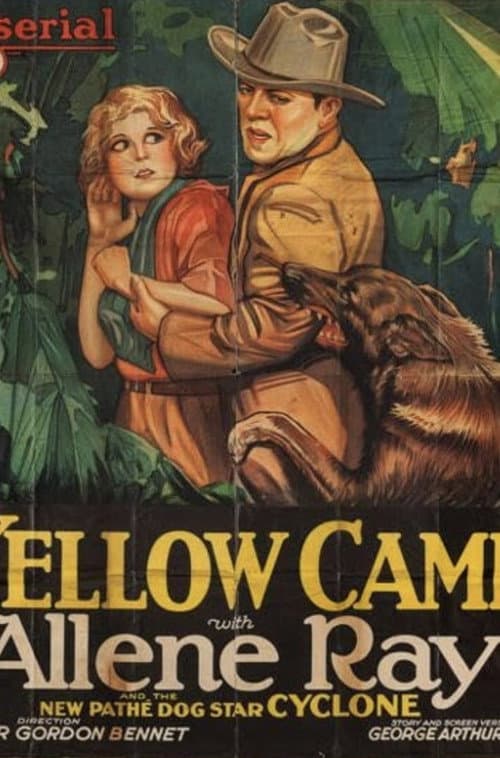 The Yellow Cameo
