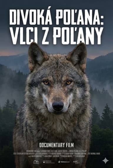 Divoká Poľana: Vlci z Poľany