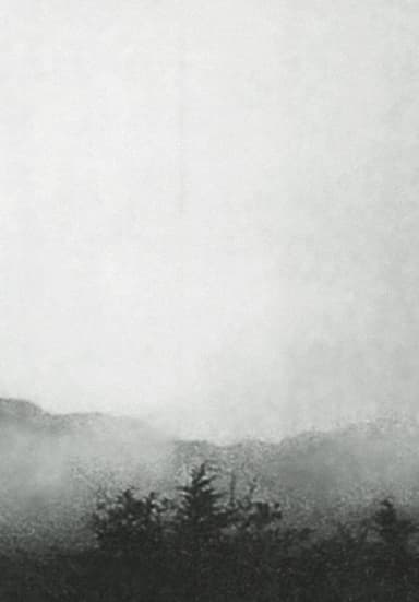 Mist