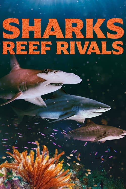 Sharks: Reef Rivals