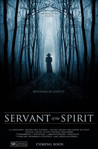 Servant of the Spirit