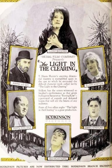 The Light in the Clearing