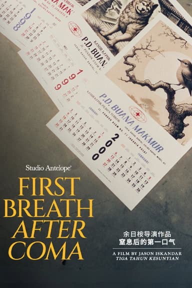 First Breath After Coma