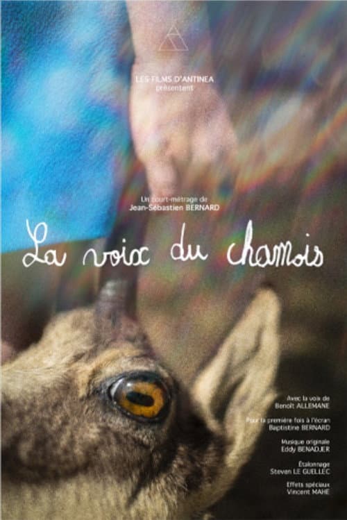 The Chamois'Cry