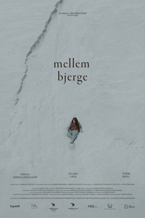 Mellem Bjerge