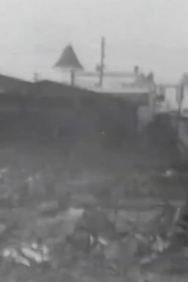 The Great Fire Ruins, Coney Island