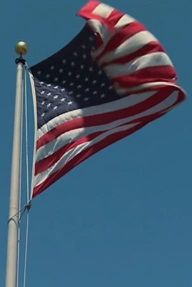 United States Wins the World Cup
