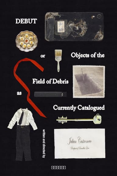 Debut, or, Objects of the Field of Debris as Currently Catalogued